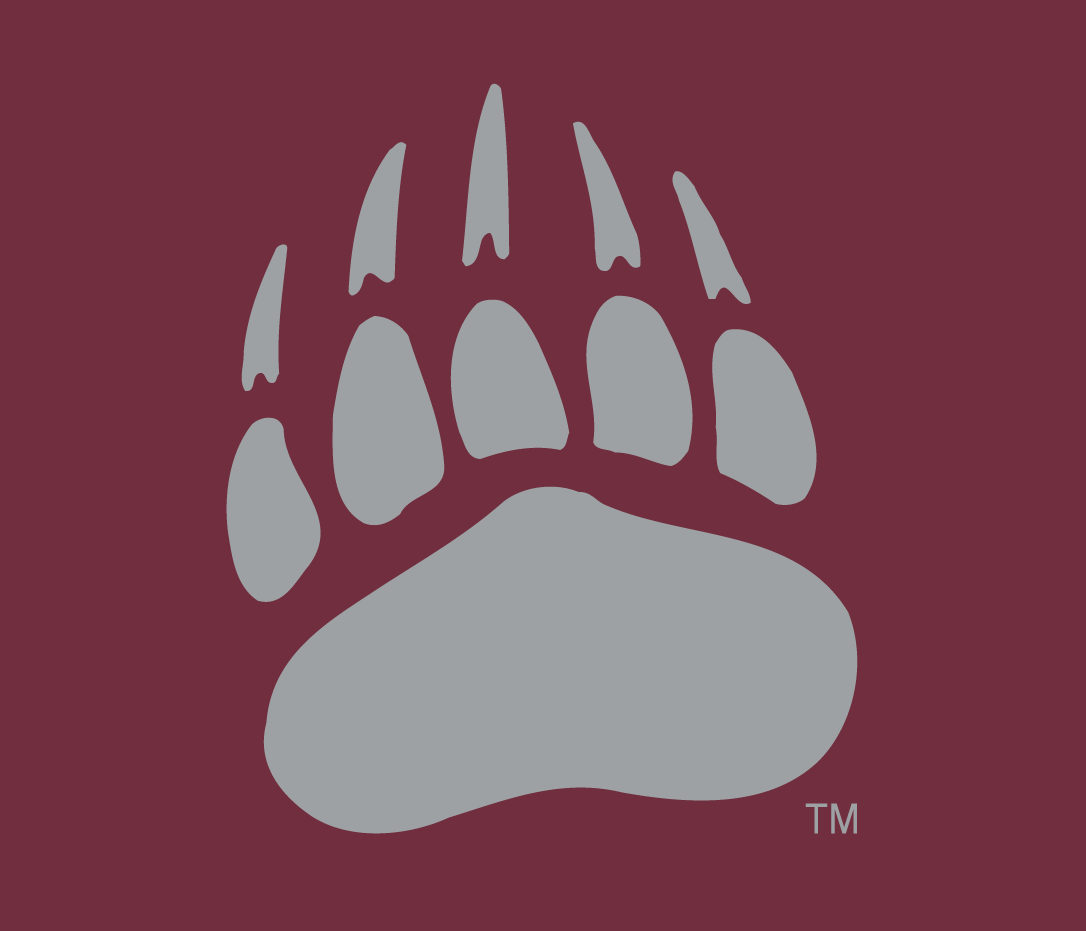 Montana Grizzlies 1996-Pres Alternate Logo 07 iron on paper